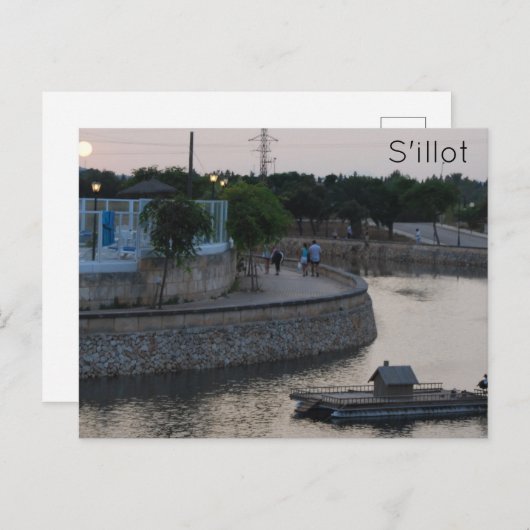 シロ ポストカード (正面/裏面)