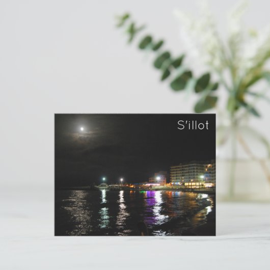 シロ ポストカード (スタンド正面)