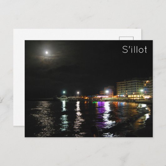 シロ ポストカード (正面/裏面)