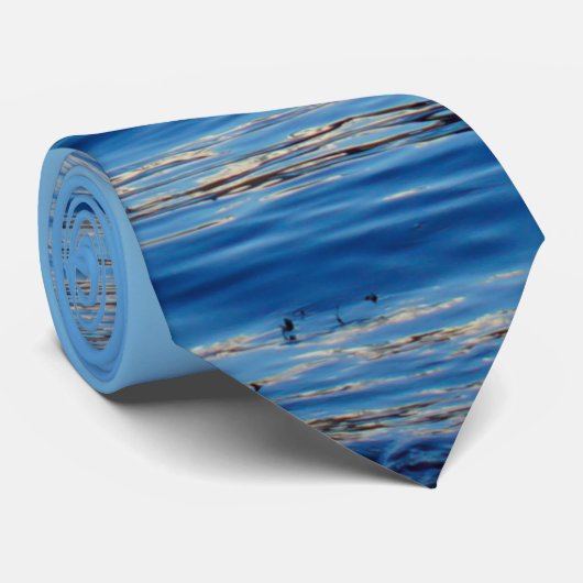 シワード美しいネックタイ ネクタイ (ロール)