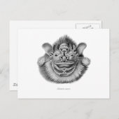 シワ顔コウモリ ポストカード (正面/裏面)