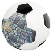 シンガポールのゴールを移動 サッカーボール (3/4)
