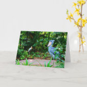 シンガポールの動物園の挨拶状の鳥 カード (黄色い花)