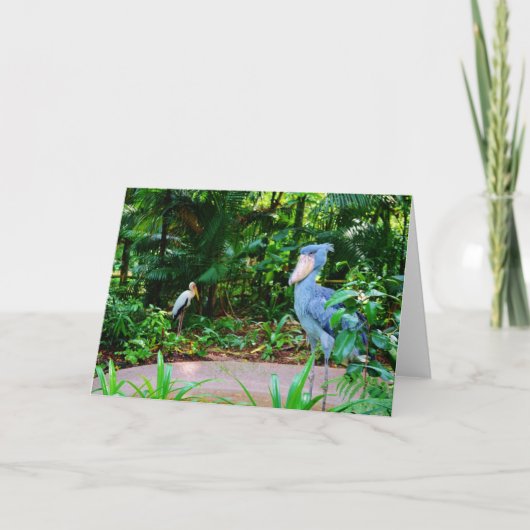 シンガポールの動物園の挨拶状の鳥 カード (正面)