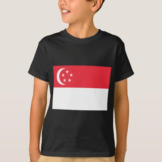 シンガポールの国旗 Tシャツ (正面)