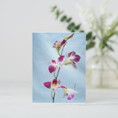 シンガポールの蘭の花 ポストカード (スタンド正面)