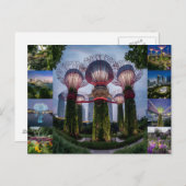 シンガポールはすごい木々を旅する。 ポストカード (正面/裏面)