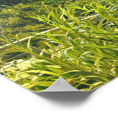 シンガポールガーデンズバイザベイ ポスター (角)