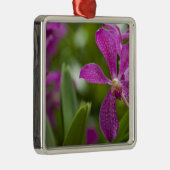 シンガポールサンスクリット:ライオンシティ)。 全国 メタルオーナメント (右)