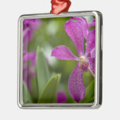 シンガポールサンスクリット:ライオンシティ)。 全国 メタルオーナメント (左)