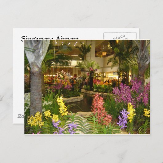 シンガポールチャンギエアポート ポストカード (正面/裏面)