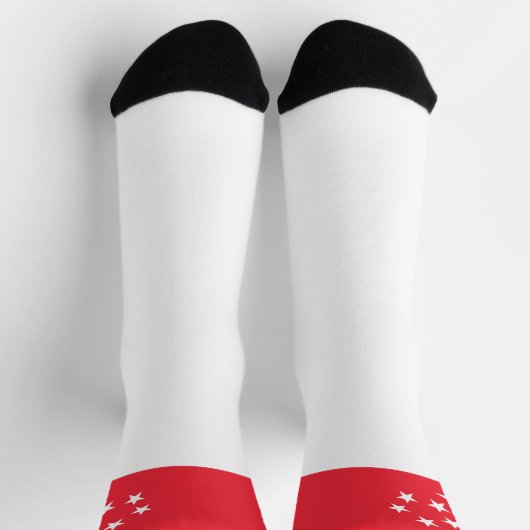 シンガポール国旗おもしろいシンガポール国立プライド ソックス (上部)