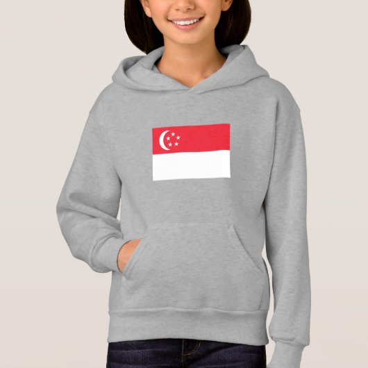 シンガポール国旗 (正面)