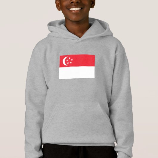 シンガポール国旗 (正面)