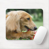 シンガポール10 マウスパッド (マウス)