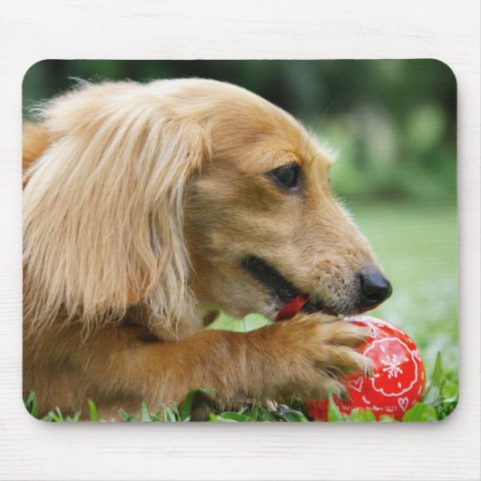 シンガポール10 マウスパッド (正面)