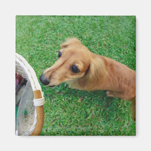 シンガポール2 マグネット (正面)