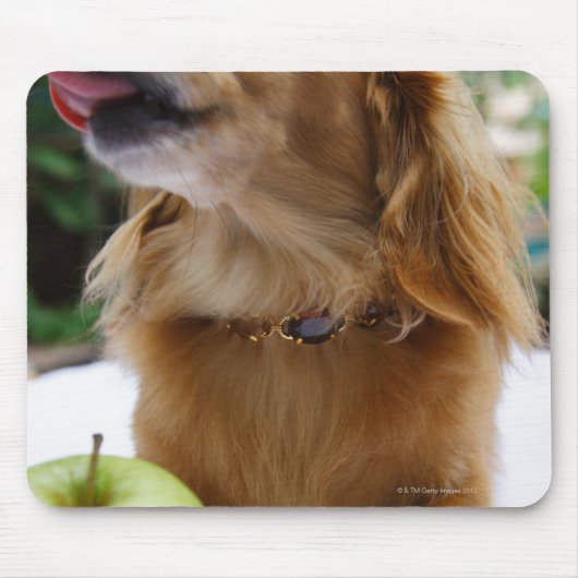 シンガポール5 マウスパッド (正面)