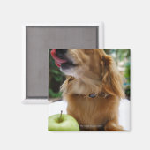 シンガポール5 マグネット (正面/裏面)