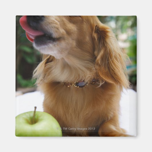 シンガポール5 マグネット (正面)