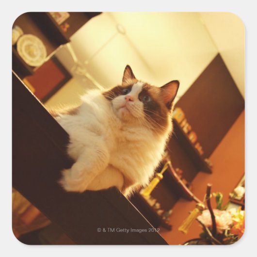 シンガポール6 スクエアシール (正面)