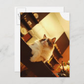 シンガポール6 ポストカード (正面/裏面)