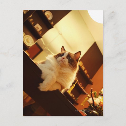 シンガポール6 ポストカード (正面)