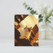 シンガポール6 ポストカード (スタンド正面)