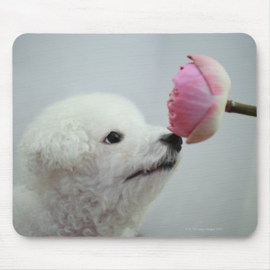 シンガポール9 マウスパッド (正面)