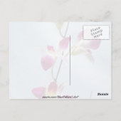 シンガポール オーキッドの花 ポストカード (裏面)