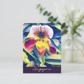 シンガポール・オーキッド旅行東南アジア ポストカード (スタンド正面)