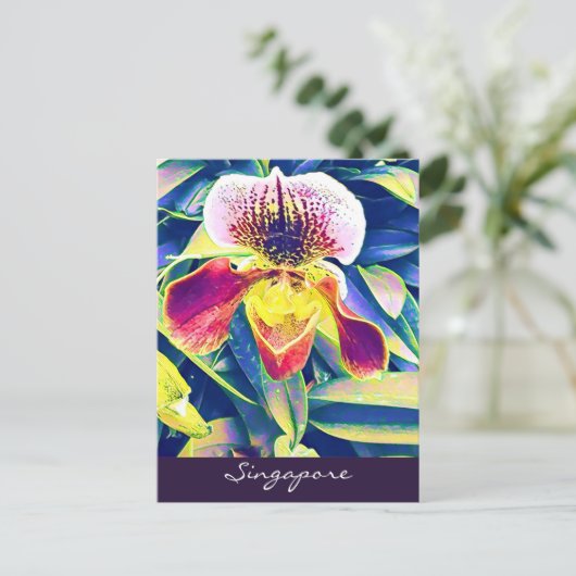 シンガポール・オーキッド旅行東南アジア ポストカード (スタンド正面)