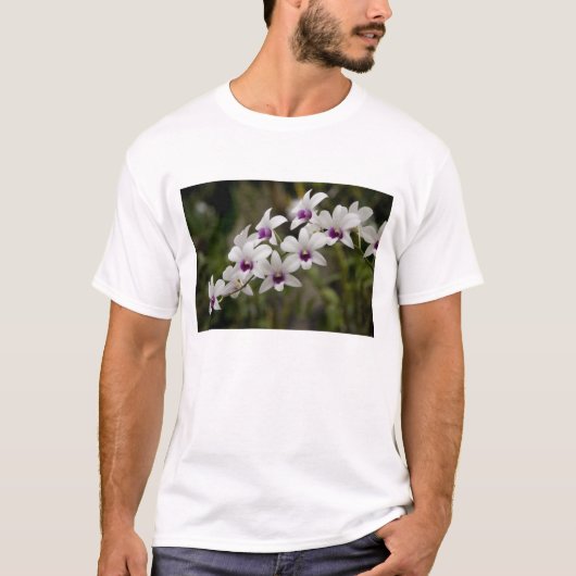 シンガポール(サンスクリット語でライオンシティの意)国立2 Tシャツ (正面)