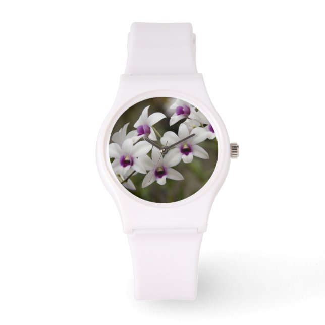 シンガポール（サンスクリット語：Lion City）。ナショナル2 腕時計 (正面)