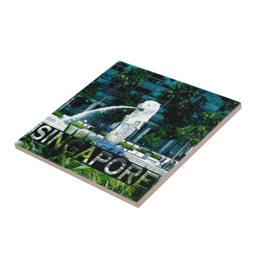 シンガポール タイル (側面)