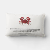 シンガポール「チリ蟹」ランバーサポート装飾用クッション ランバークッション (裏面)