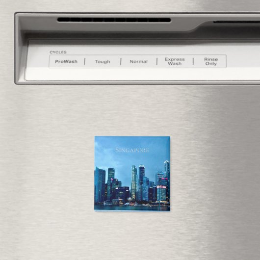 シンガポール マグネット (インサイチュ (食洗機))