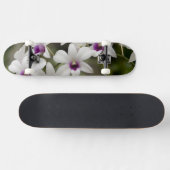 シンガポール（ライオンシティのサンスクリット語） 全国2 スケートボード (横)