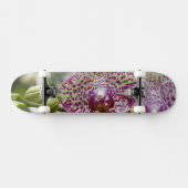 シンガポール（ライオンシティのサンスクリット語） 全国 スケートボード (横)