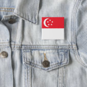 シンガポール 缶バッジ (インサイチュ)