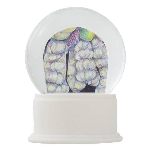 シンガポ疑問に思ール·ウェット·マーケッツ スノーグローブ (正面)