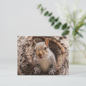 シンキャップ ポストカード (スタンド正面)