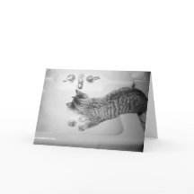 シンクの蛇口で飲む猫レトロ