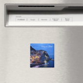 シンクテレイタリアポストカード マグネット (インサイチュ (食洗機))