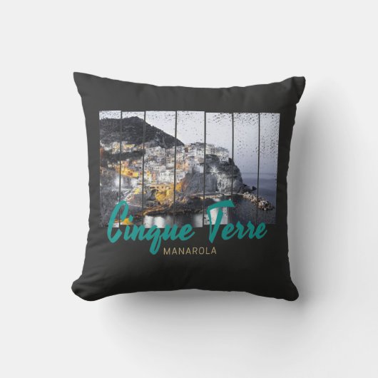 シンクテレマナロラリオマッジョーレイタリアンヴィンテージ クッション (正面)