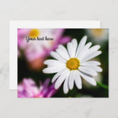 シングルホワイトデイジー ポストカード (正面/裏面)