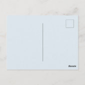 シンコデマヨサルサタコス ポストカード (裏面)