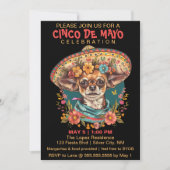 シンコデマヨチワワSombrero & Serapeを着た シーズンカード (正面)