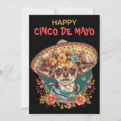 シンコデマヨチワワSombrero & Serapeを着た シーズンカード (正面)