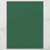 シンコデマヨ チラシ (裏面)